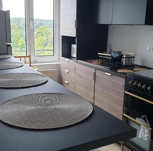 Hyper Centre - Quartier Du Chateau De Apartment *